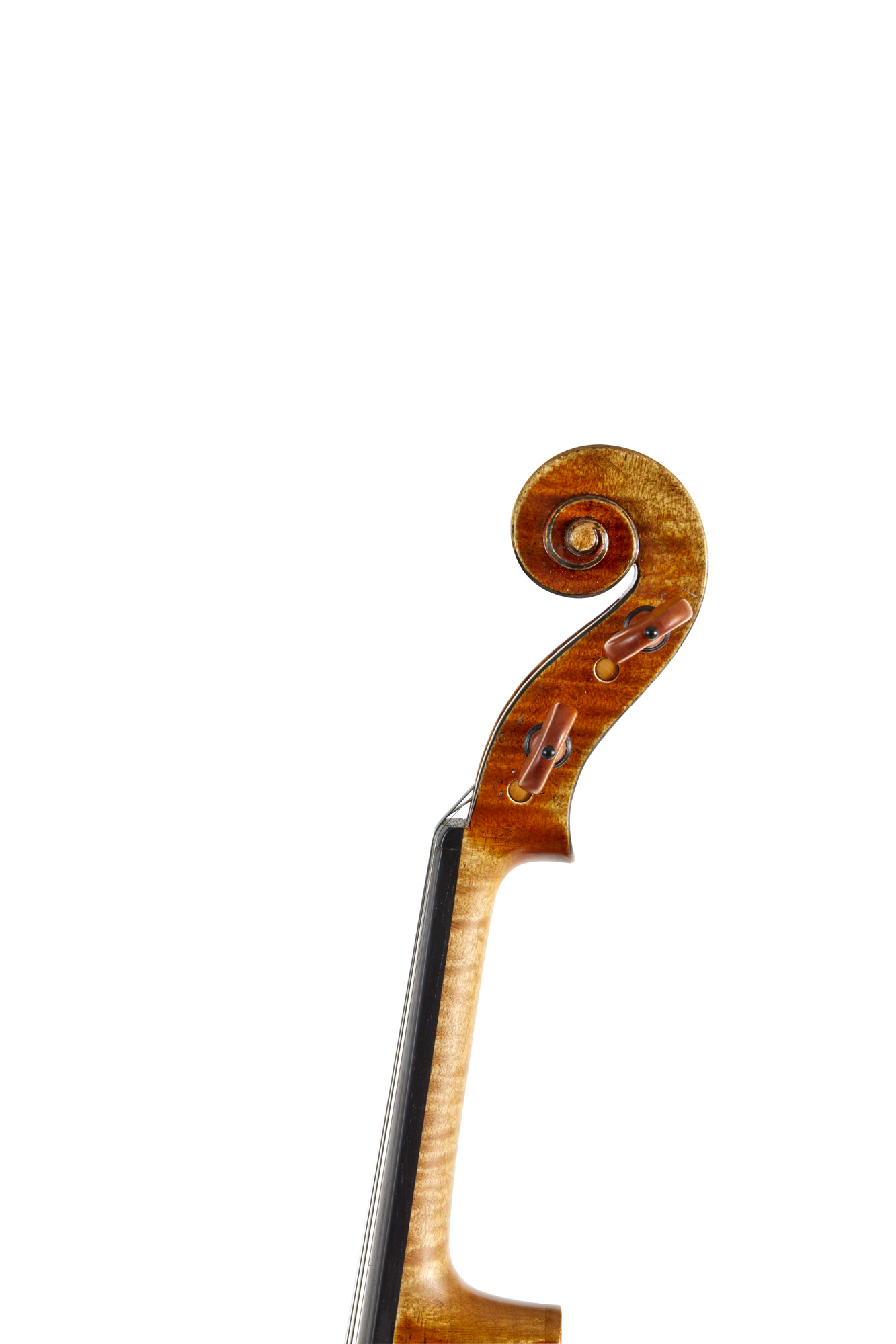 Violin scroll